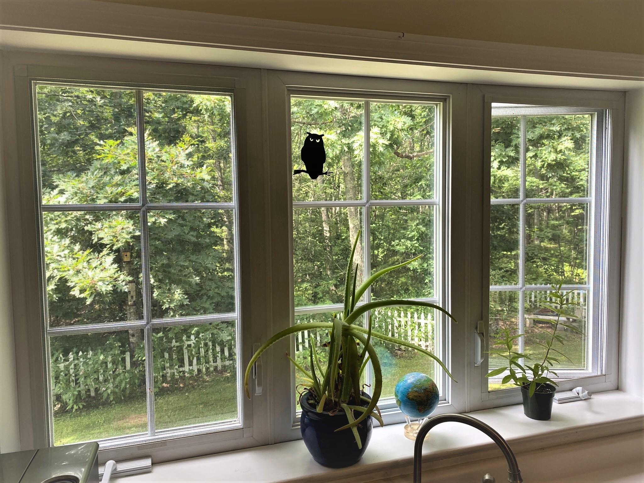 305 Main Street Hope, ME 04847 - Photo 16 of 56 IMG_4151