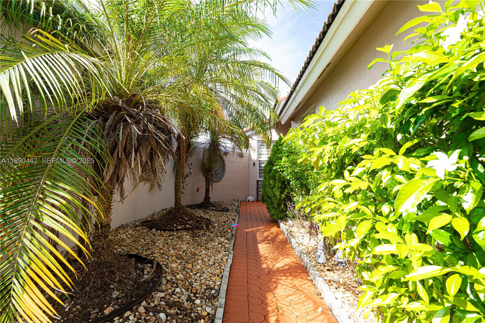 4810 Southwest 153rd Terrace Miramar, FL 33027 - Photo 4 of 41 a view of a yard with plants