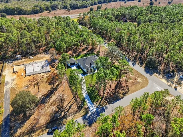 a view of a yard with plants and large trees