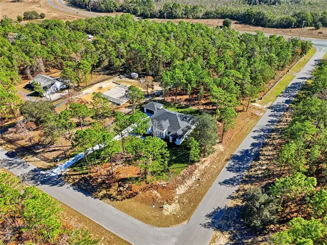 a view of a garden with a lot of flowers and trees