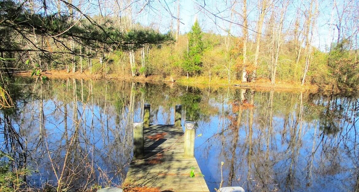 1512 Little River Road Goshen, VA 24439 - Photo 35 of 38 Beckley8