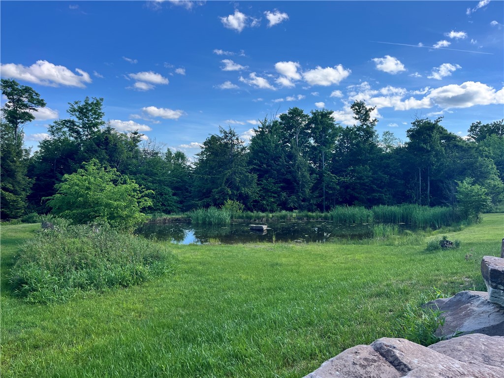 882 Alma Hill Road Alma, NY 14708 - Photo 37 of 46