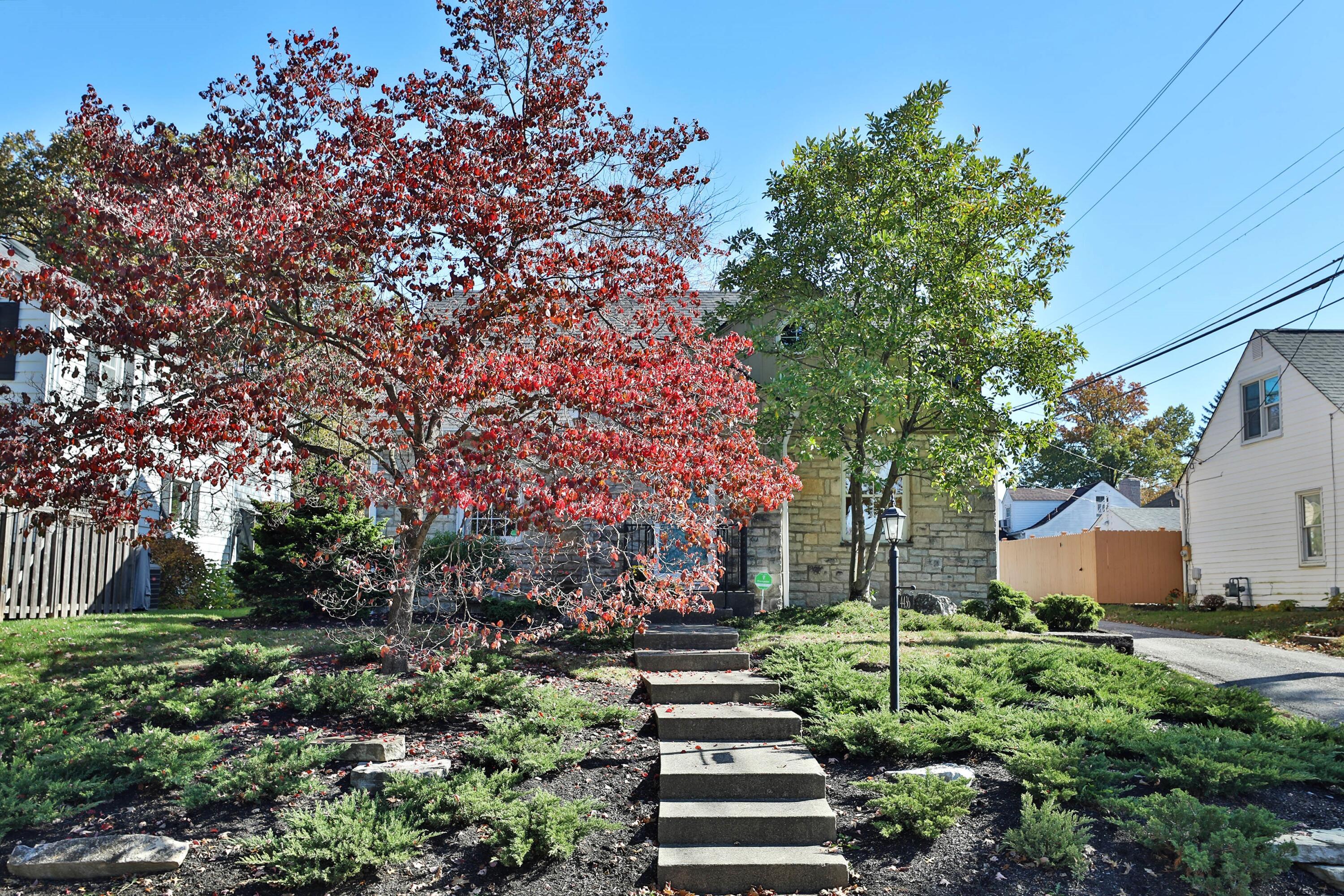 4436 Zeller Road Columbus, OH 43214 - Photo 2 of 42 Landscaping 2008, New Junipers on front bank.