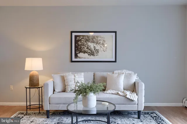 a living room with furniture and a potted plant