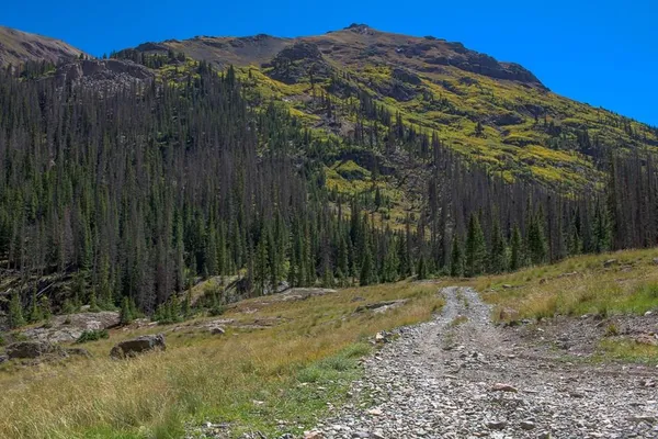 $1,100,000 | 19000 Hinsdale County Road 30, Lake City, CO 81235