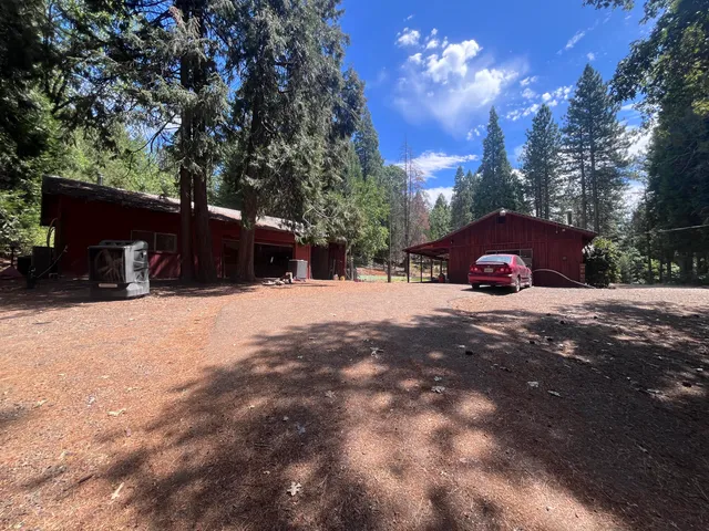 a view of a dirt road and trees
