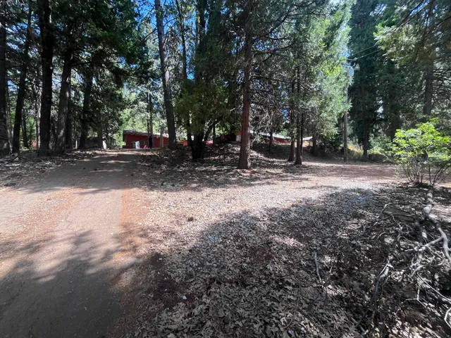 a view of backyard with green space