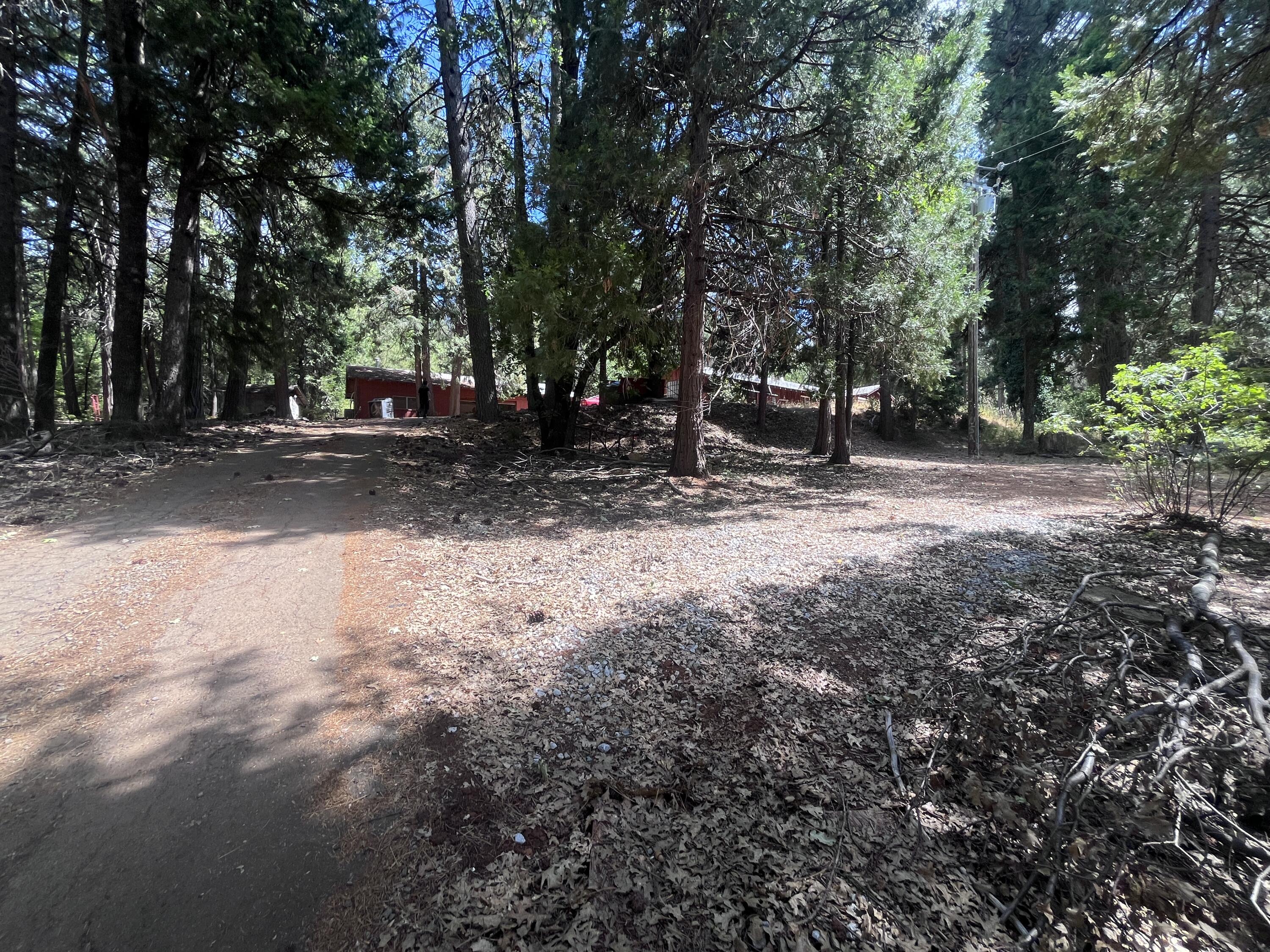 29544 Fenders Ferry Road Bella Vista, CA 96008 - Photo 27 of 36 IMG_8342