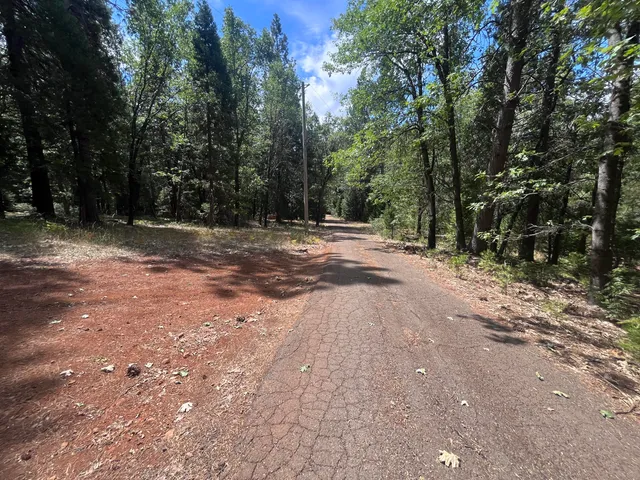 a view of a yard with a tree