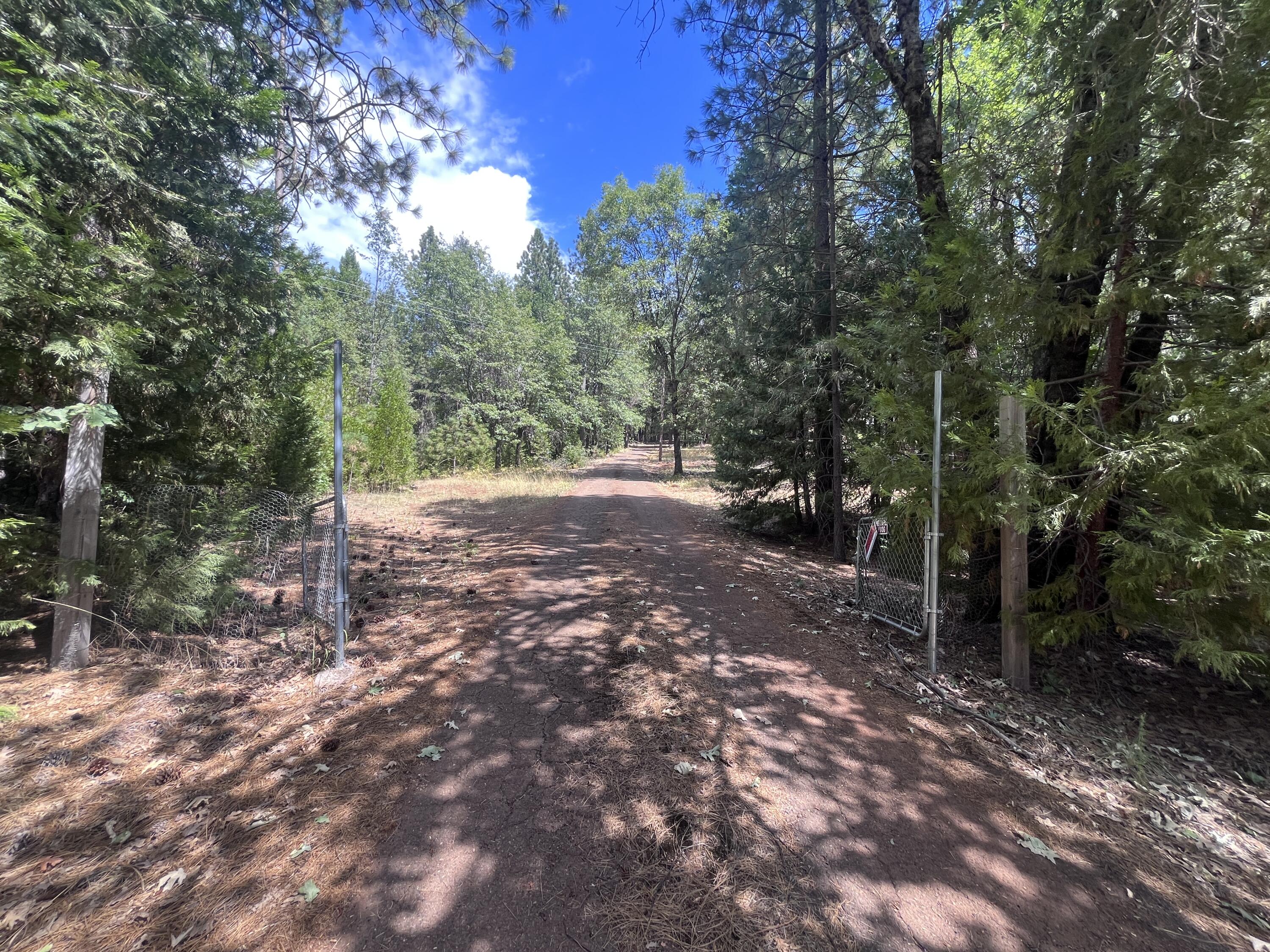 29544 Fenders Ferry Road Bella Vista, CA 96008 - Photo 29 of 36 IMG_8344