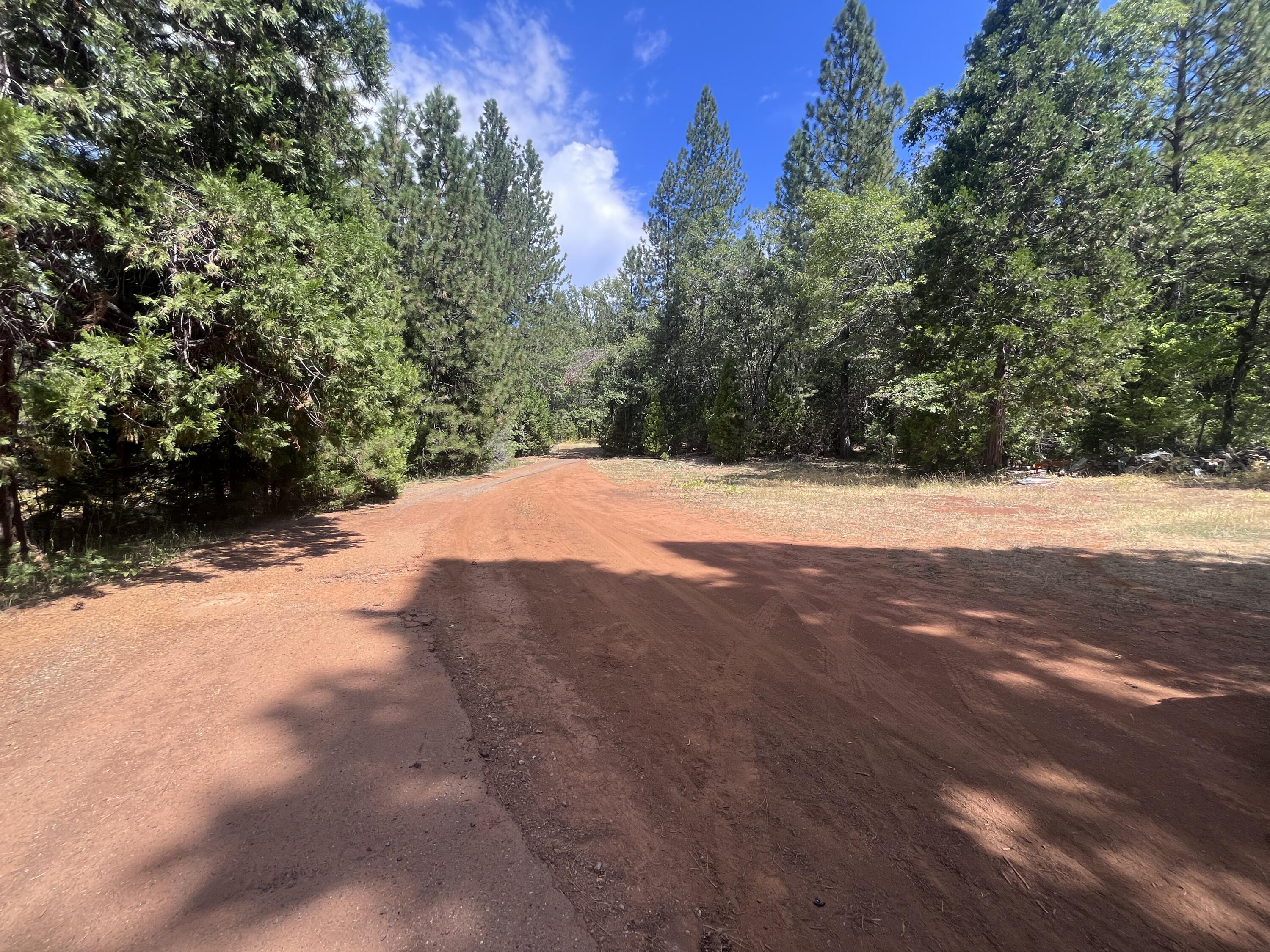 29544 Fenders Ferry Road Bella Vista, CA 96008 - Photo 30 of 36 IMG_8345