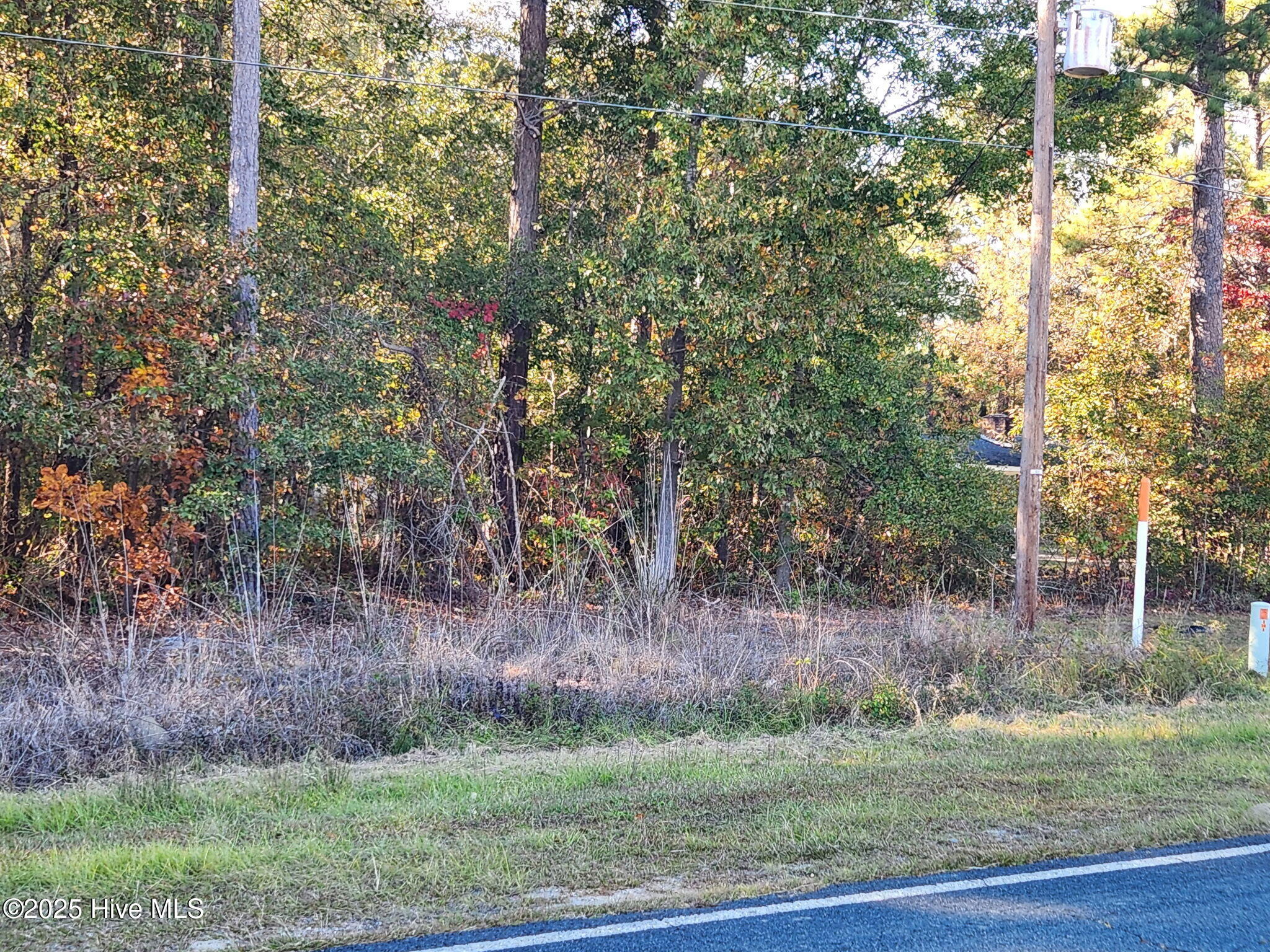 0 Cedar Grove Church Road St. Pauls, NC 28384 - Photo 3 of 6 1895069628055384507