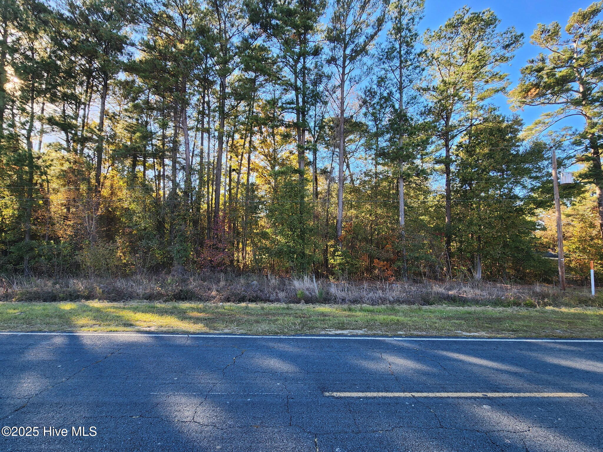 0 Cedar Grove Church Road St. Pauls, NC 28384 - Photo 5 of 6 7430989870883659152