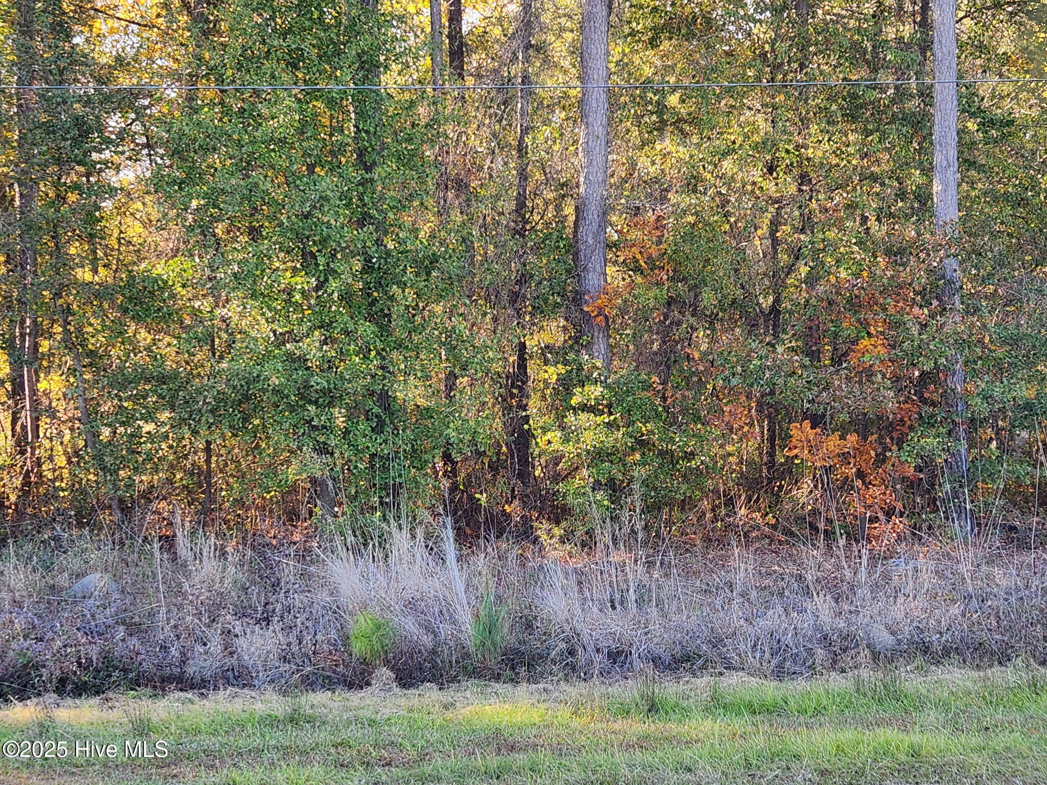 0 Cedar Grove Church Road St. Pauls, NC 28384 - Photo 6 of 6 8446292240649862452