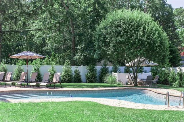 a view of a park with large trees