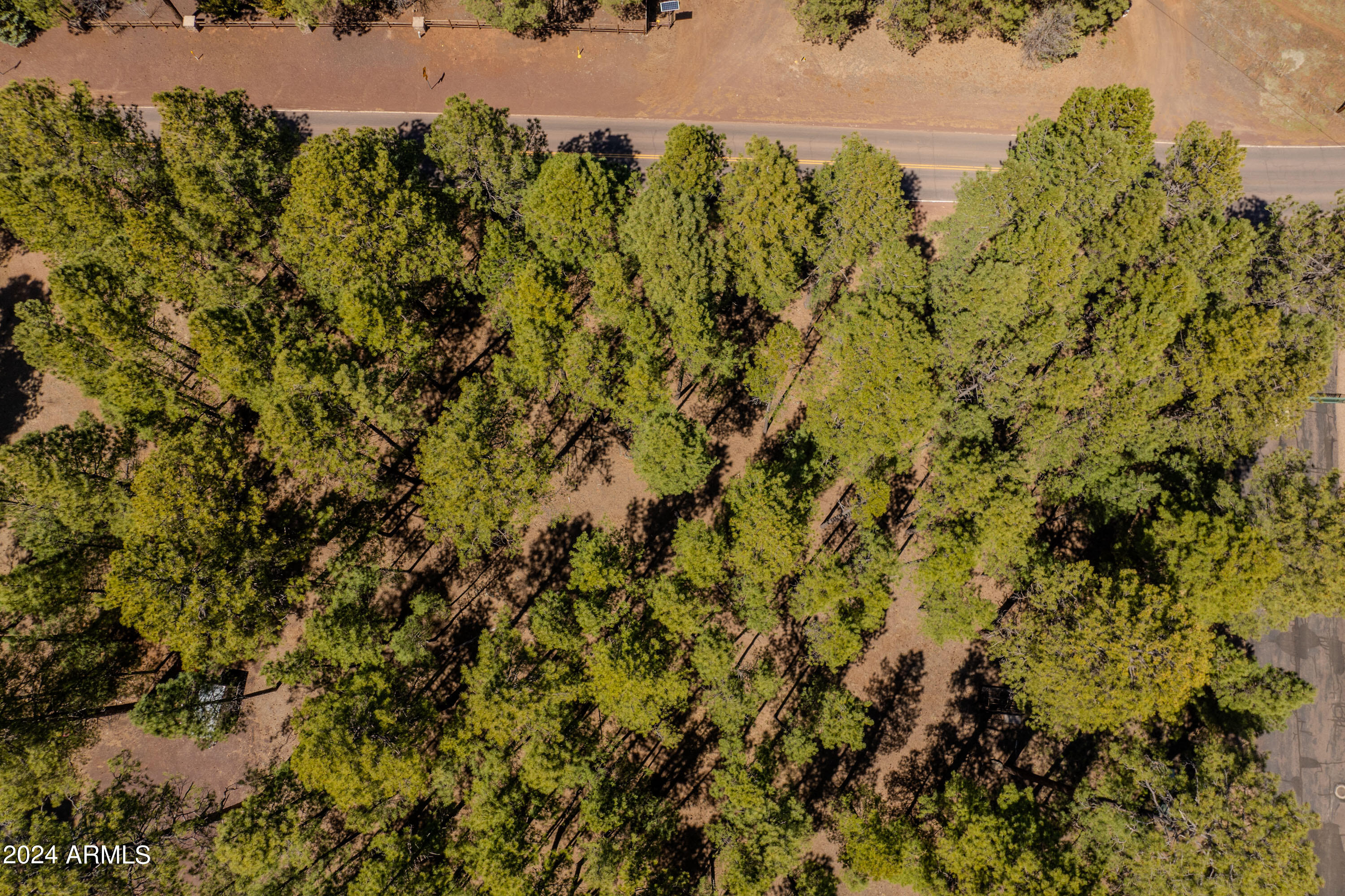 4583 Sky Hi Road Pinetop, AZ 85935 - Photo 11 of 30 4583 Sky Hi-11