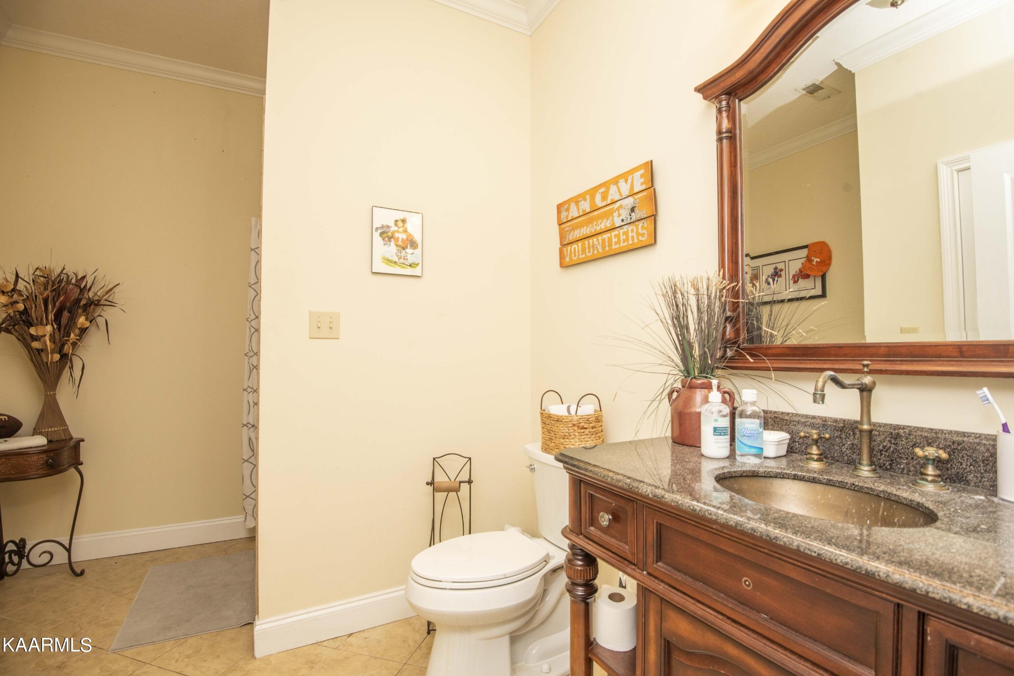 7412 Ridge Haven Court Corryton, TN 37721 - Photo 42 of 59 a bathroom with a granite countertop sink and a toilet