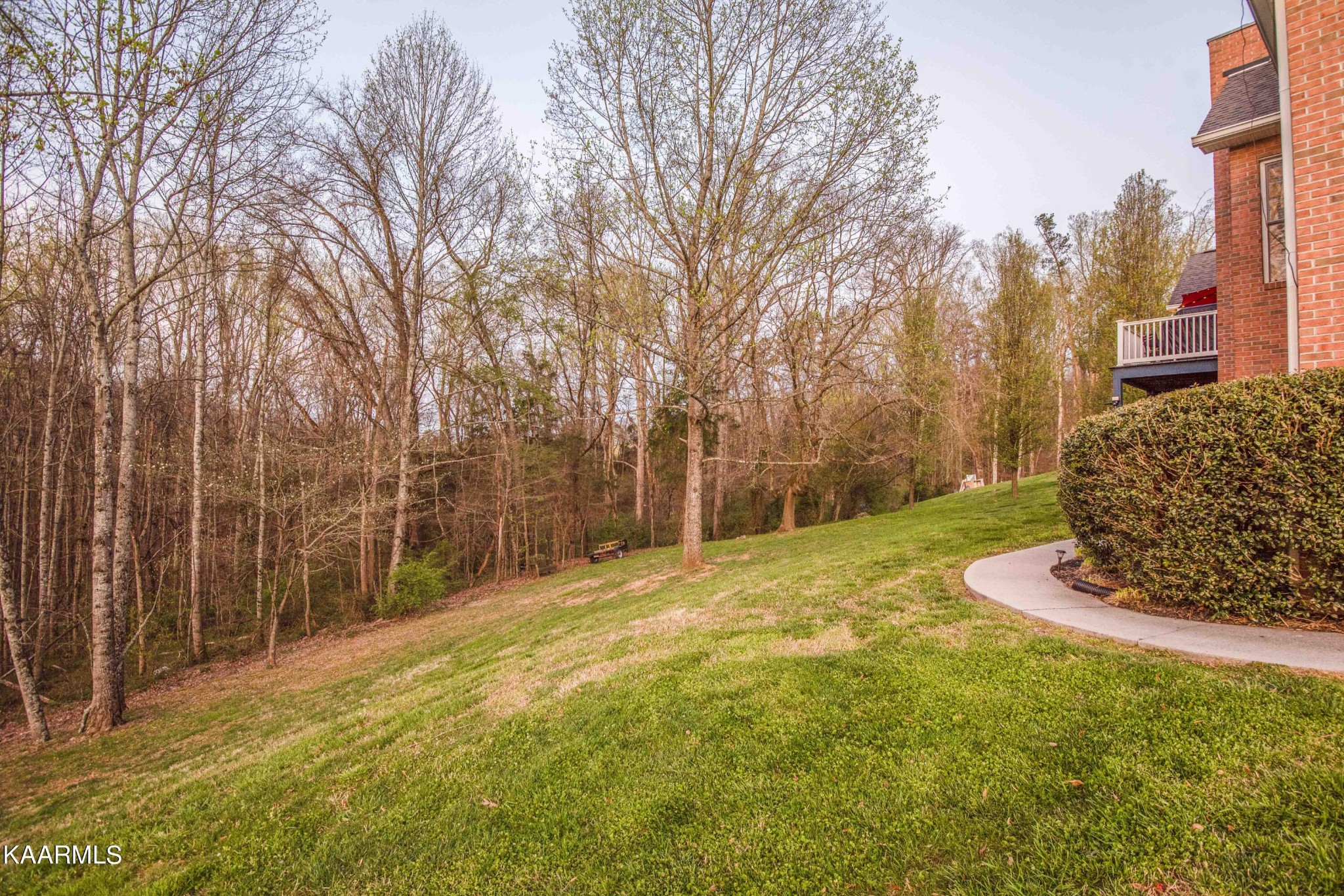 7412 Ridge Haven Court Corryton, TN 37721 - Photo 49 of 59 a backyard of a house with lots of green space