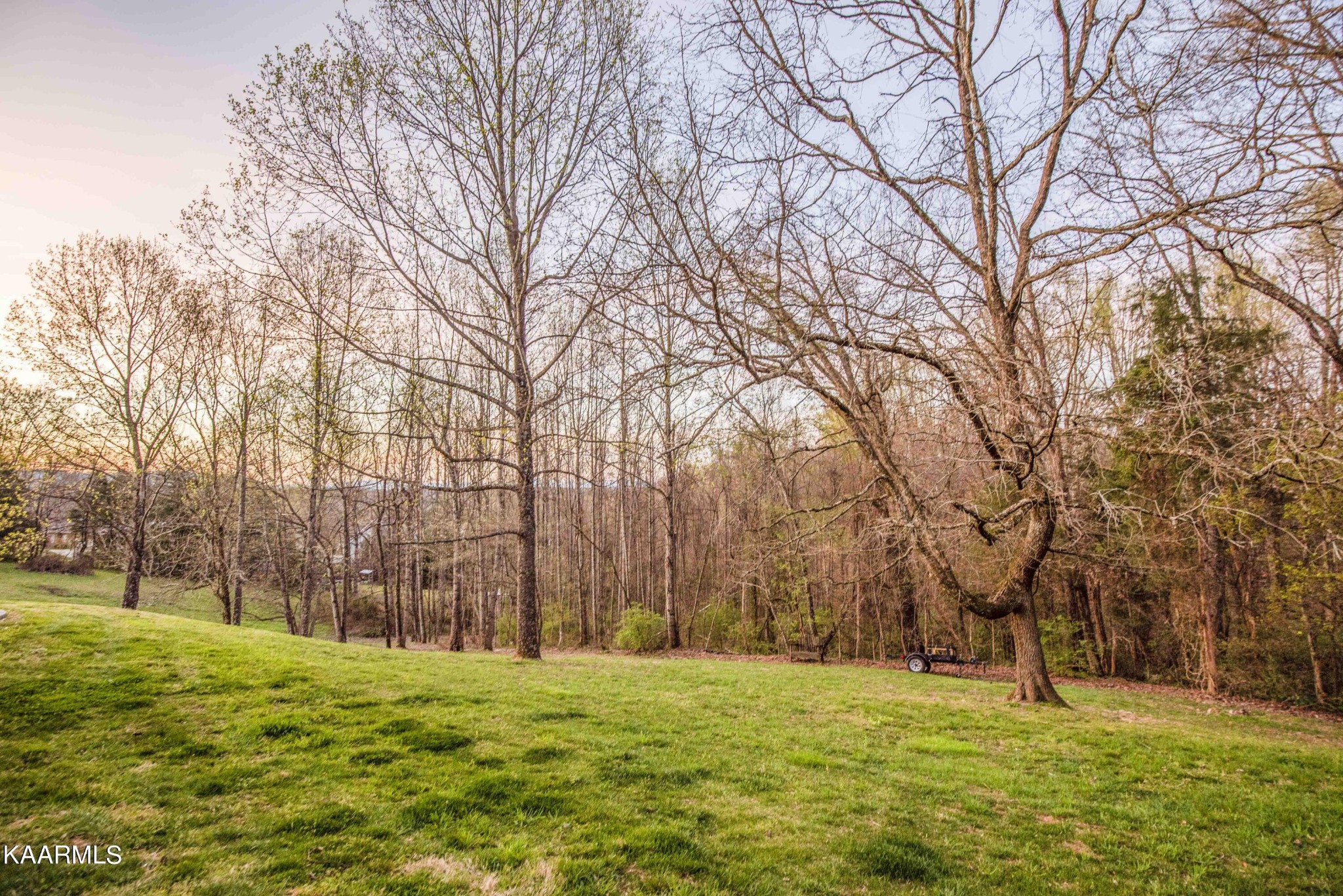 7412 Ridge Haven Court Corryton, TN 37721 - Photo 54 of 59 a big yard with trees in front of it