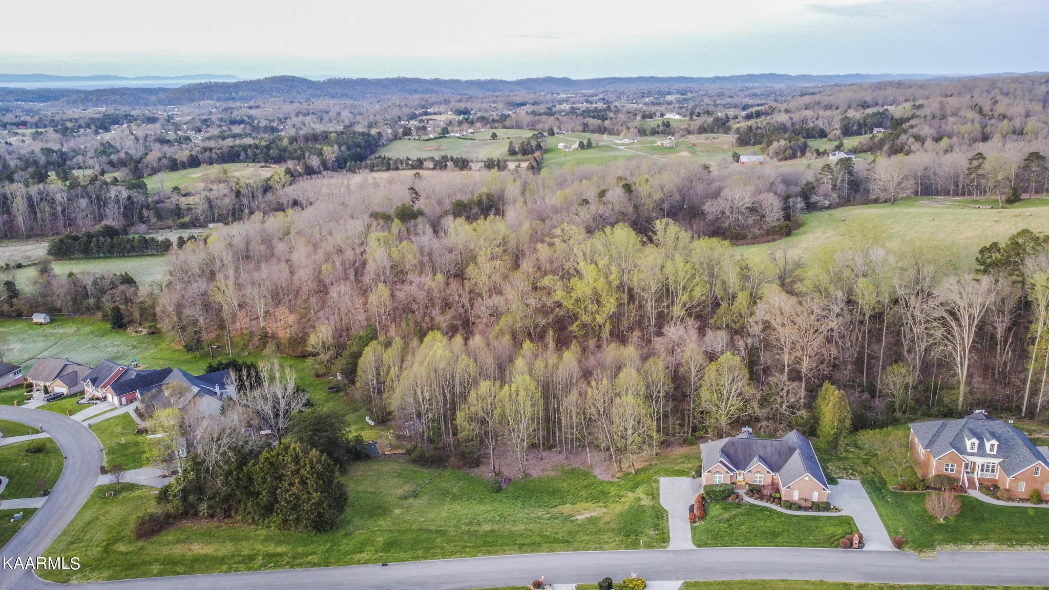 7412 Ridge Haven Court Corryton, TN 37721 - Photo 58 of 59 an aerial view of a houses with a yard