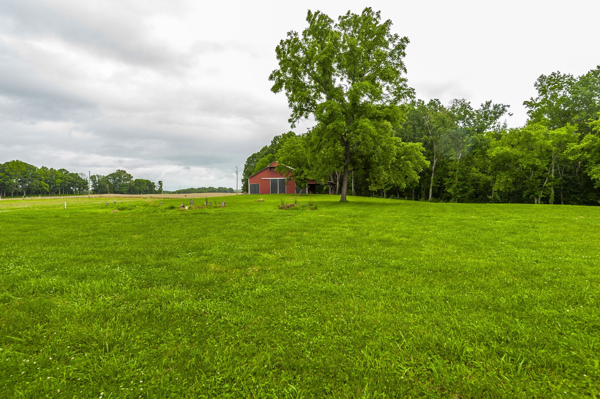 1113 East Robertson Road Castalian Springs, TN 37031 - Photo 40 of 56