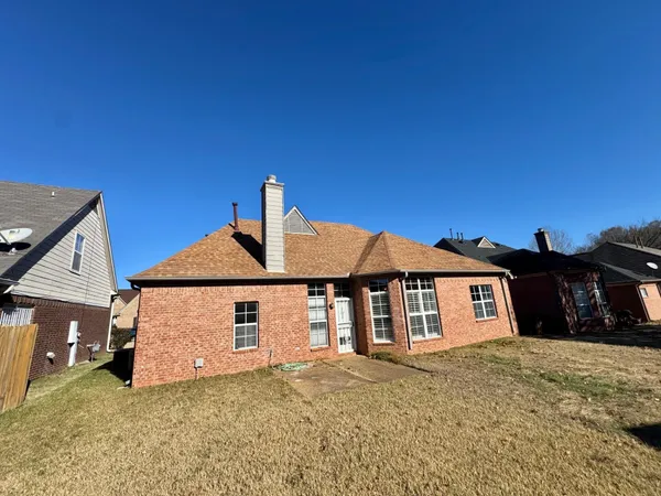 a bathroom with a shower and a toilet