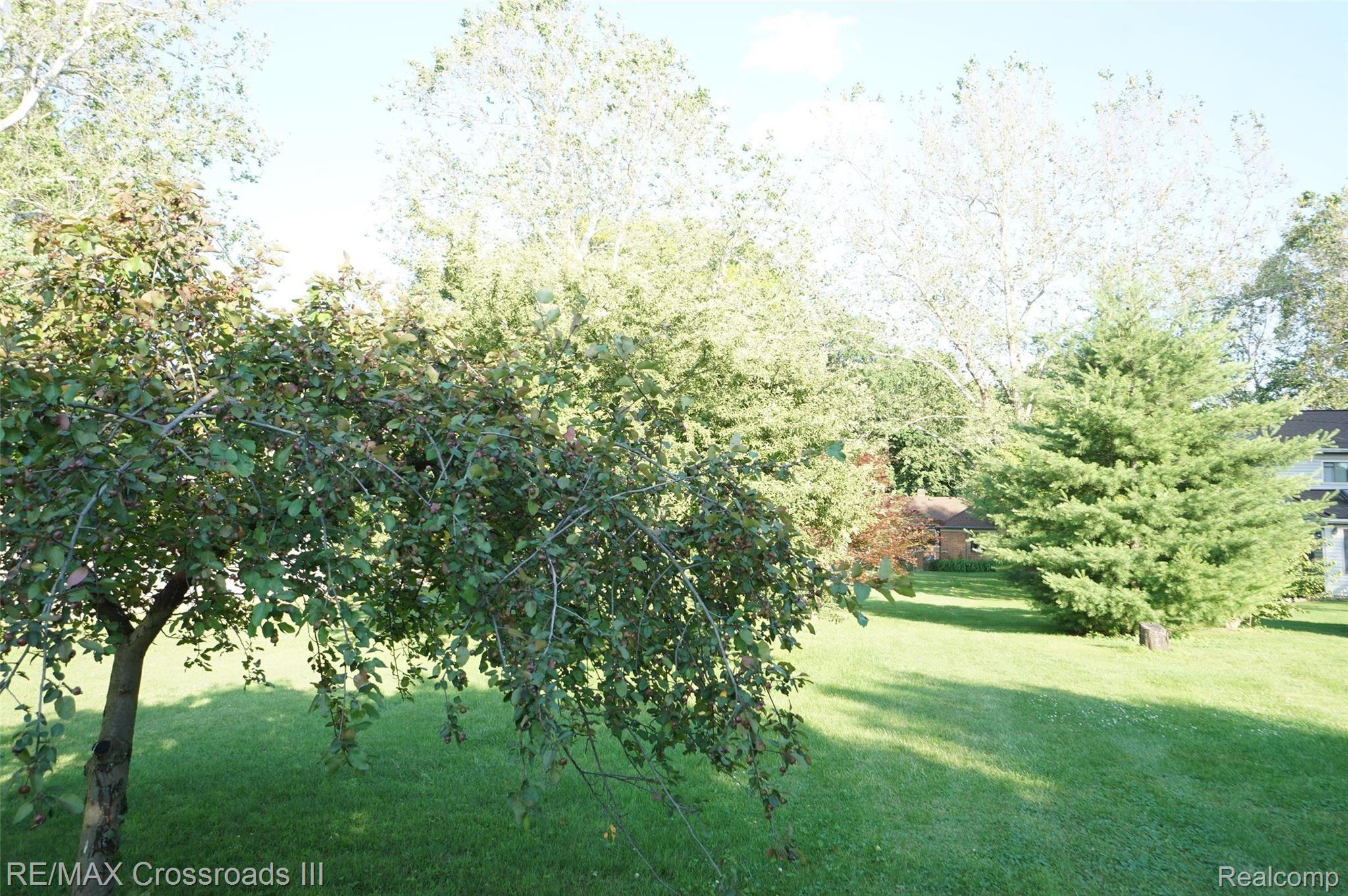 40396 Alden Road Belleville, MI 48111 - Photo 29 of 32 DSC03032.JPG