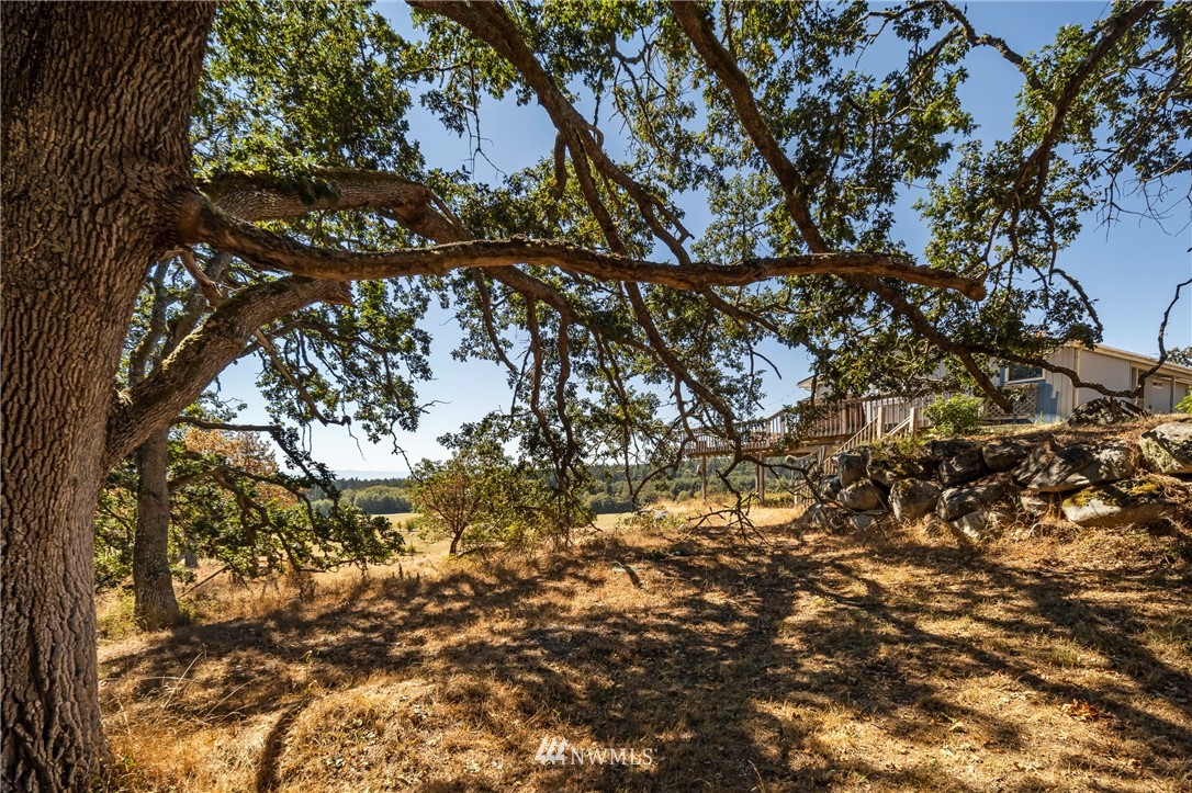 571 Mitchell Bay Road Friday Harbor, WA 98250 - Photo 29 of 34 Gallery Image 29