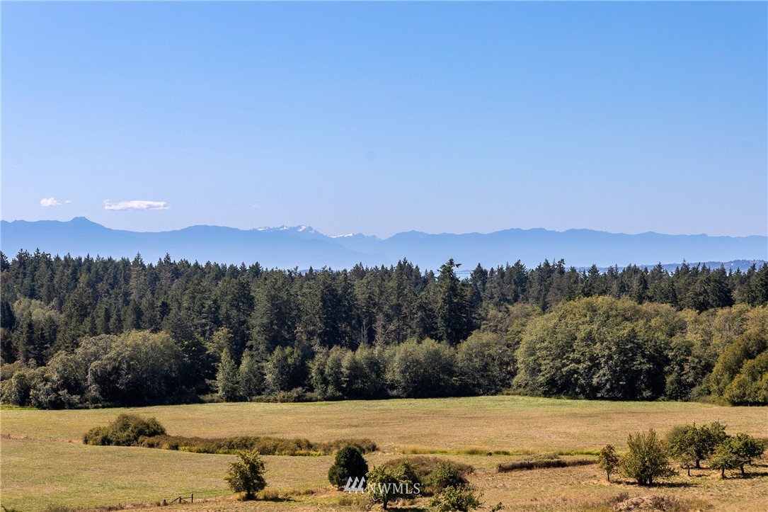 571 Mitchell Bay Road Friday Harbor, WA 98250 - Photo 5 of 34 Gallery Image 5