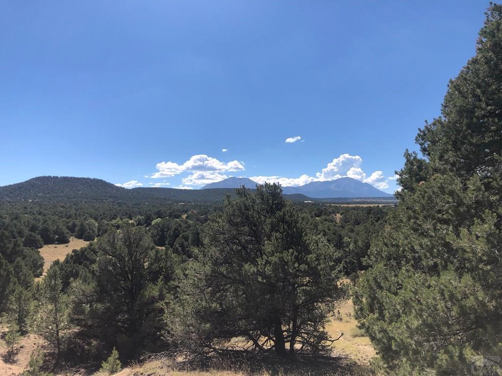 Lot 64 River Ridge Trail La Veta, CO 81055 - Photo 18 of 29