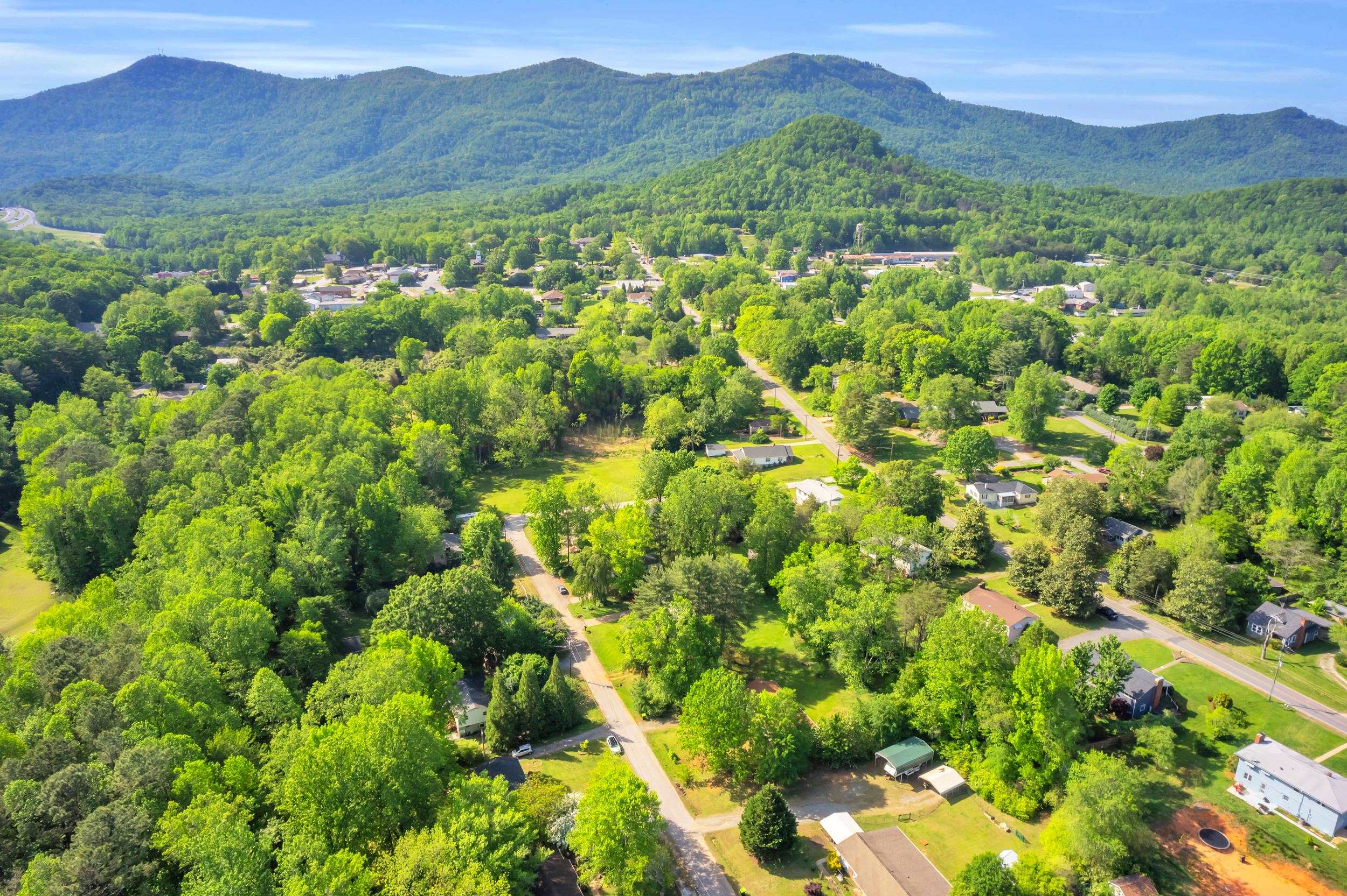 81 Julia Street Columbus, NC 28722 - Photo 29 of 31 Gallery Image 29