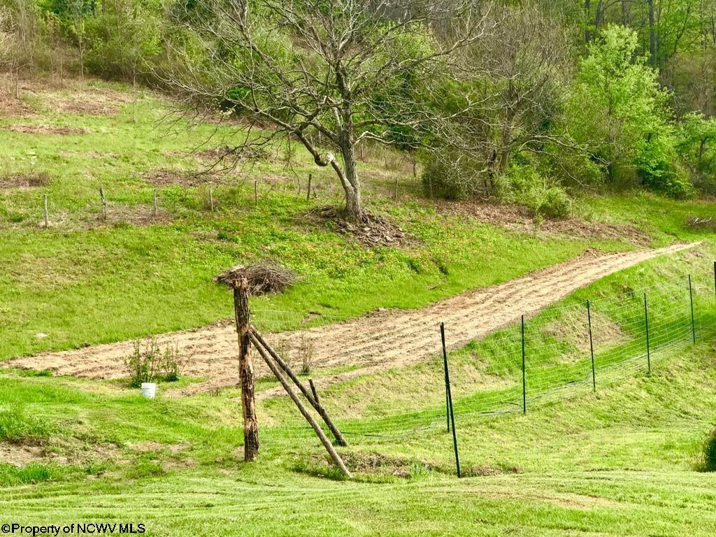 241 Rocky Ridge Hacker Valley, WV 26222 - Photo 2 of 30 Gallery Image 2