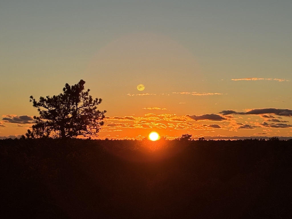 4 Broadleaf, Unit 15 Plymouth, MA 02360 - Photo 6 of 11 a view of an ocean