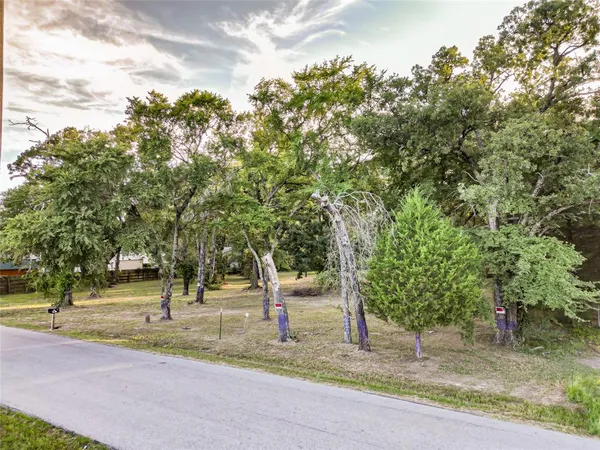 a view of yard with tree