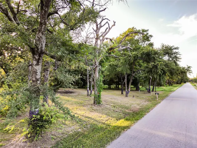 a view of a field with trees in the background