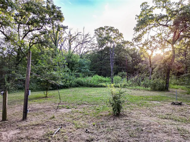 a view of a lush green forest