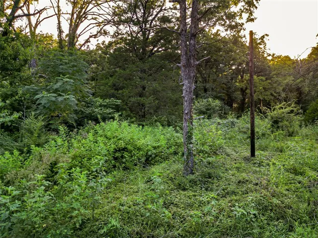 a view of a tree in front of a house