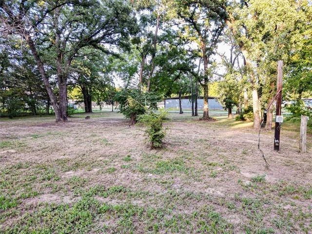 a view of a yard with a tree