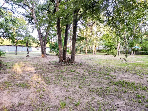 a view of road with large trees