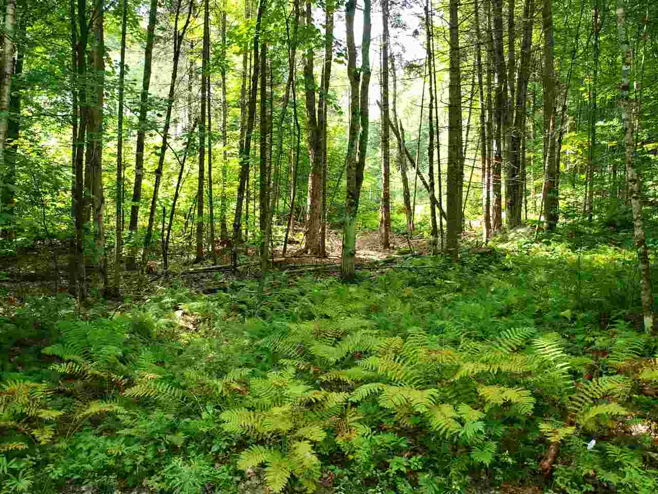 Lot 8.2 Cyr Road Bethlehem, NH 03574 - Photo 3 of 4