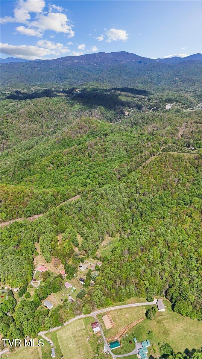 195 Willard Perkins Road Roan Mountain, TN 37687 - Photo 13 of 27 32-DJI_20260430155436_0601_D