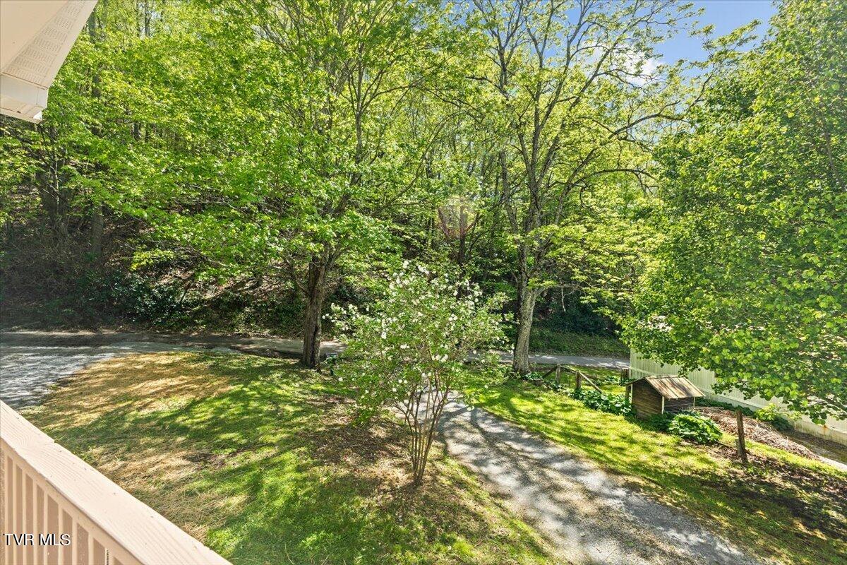 195 Willard Perkins Road Roan Mountain, TN 37687 - Photo 8 of 27 06-128A6302