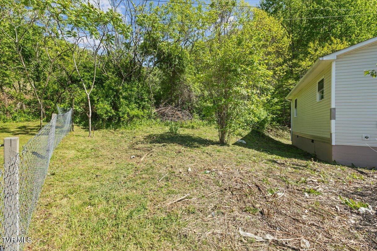 195 Willard Perkins Road Roan Mountain, TN 37687 - Photo 9 of 27 23-128A6361