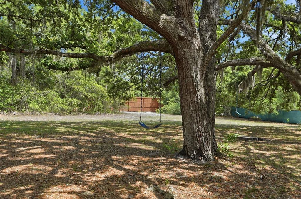 15620 Hays Road Spring Hill, FL 34610 - Photo 75 of 87