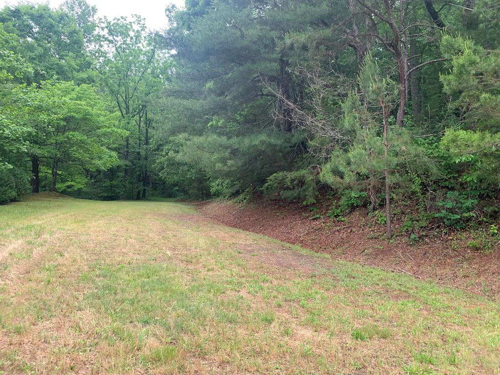 805 Bethabara Road Hayesville, NC 28904 - Photo 14 of 21