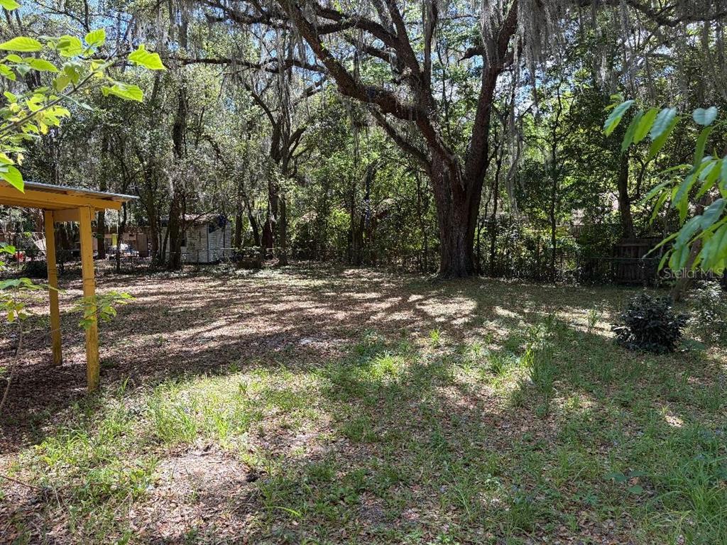 1623 Southeast 3rd Avenue Gainesville, FL 32641 - Photo 2 of 17 a fire hydrant in the middle of a field
