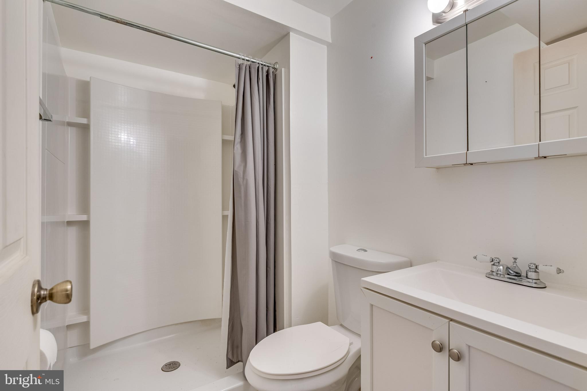 167 Bouldin Road Charles Town, WV 25414 - Photo 65 of 75 Full bathroom in basement