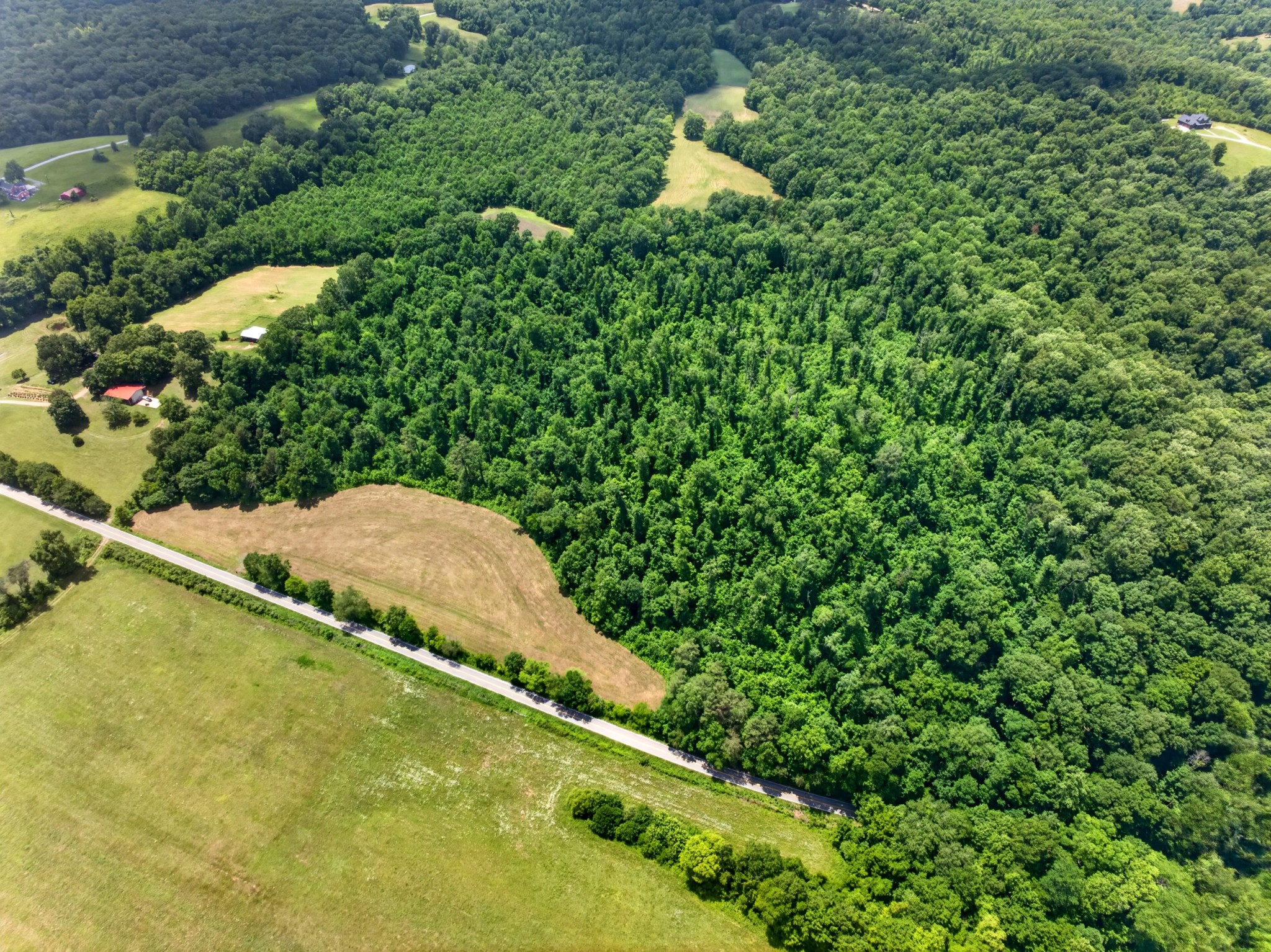 0 Ellis Mills Road Cumberland City, TN 37050 - Photo 15 of 23