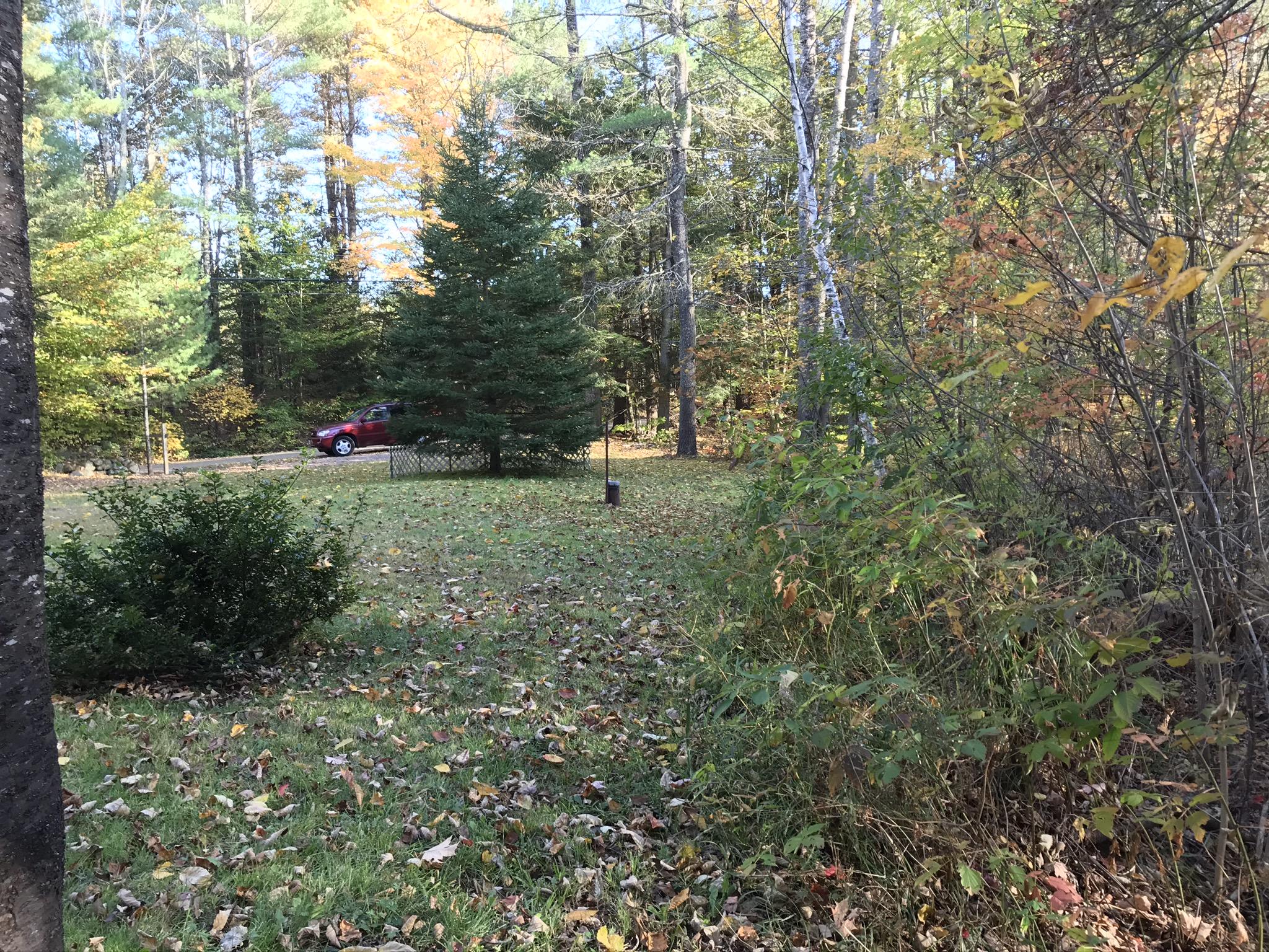 38 Pratt Road Bowdoinham, ME 04008 - Photo 8 of 33 IMG_0553