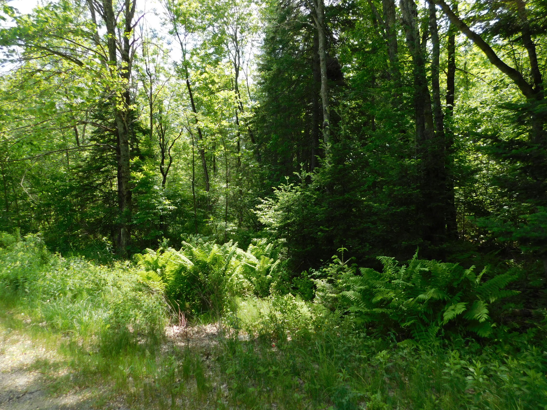 244 Canaan Road Hartland, ME 04943 - Photo 5 of 8